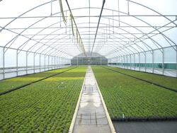 T.i.G Gewächshausbau GmbH Folienblock